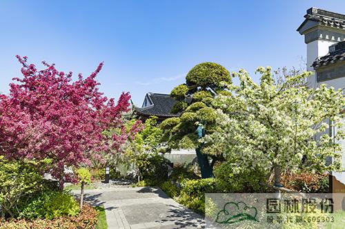 彩运网(中国游)官方网站