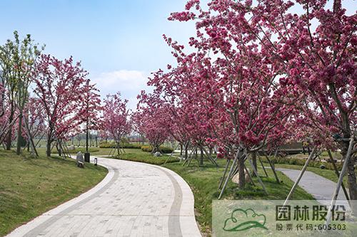 彩运网(中国游)官方网站