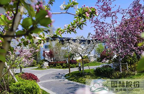 彩运网(中国游)官方网站