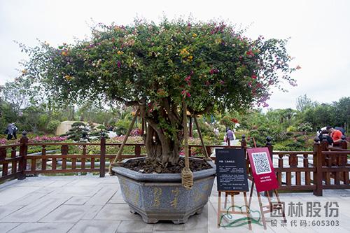 彩运网(中国游)官方网站