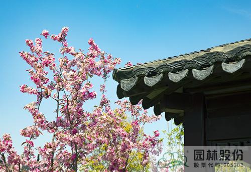 彩运网(中国游)官方网站