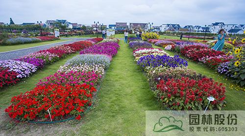 彩运网(中国游)官方网站