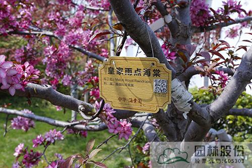 彩运网(中国游)官方网站