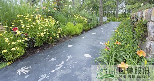 彩运网(中国游)官方网站