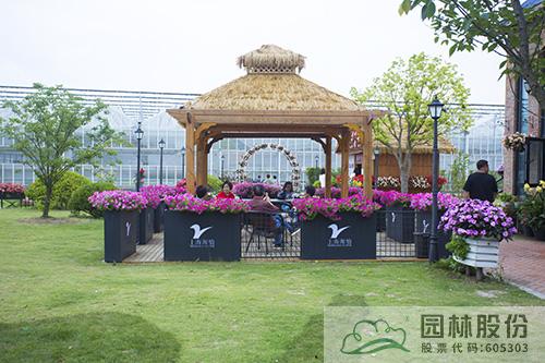 彩运网(中国游)官方网站