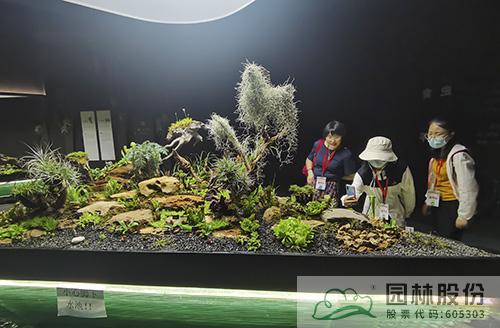 彩运网(中国游)官方网站