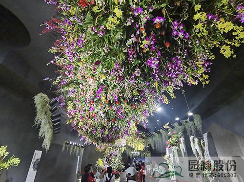 彩运网(中国游)官方网站