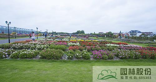 彩运网(中国游)官方网站