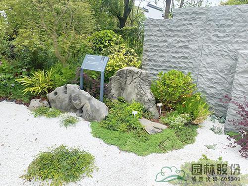 彩运网(中国游)官方网站