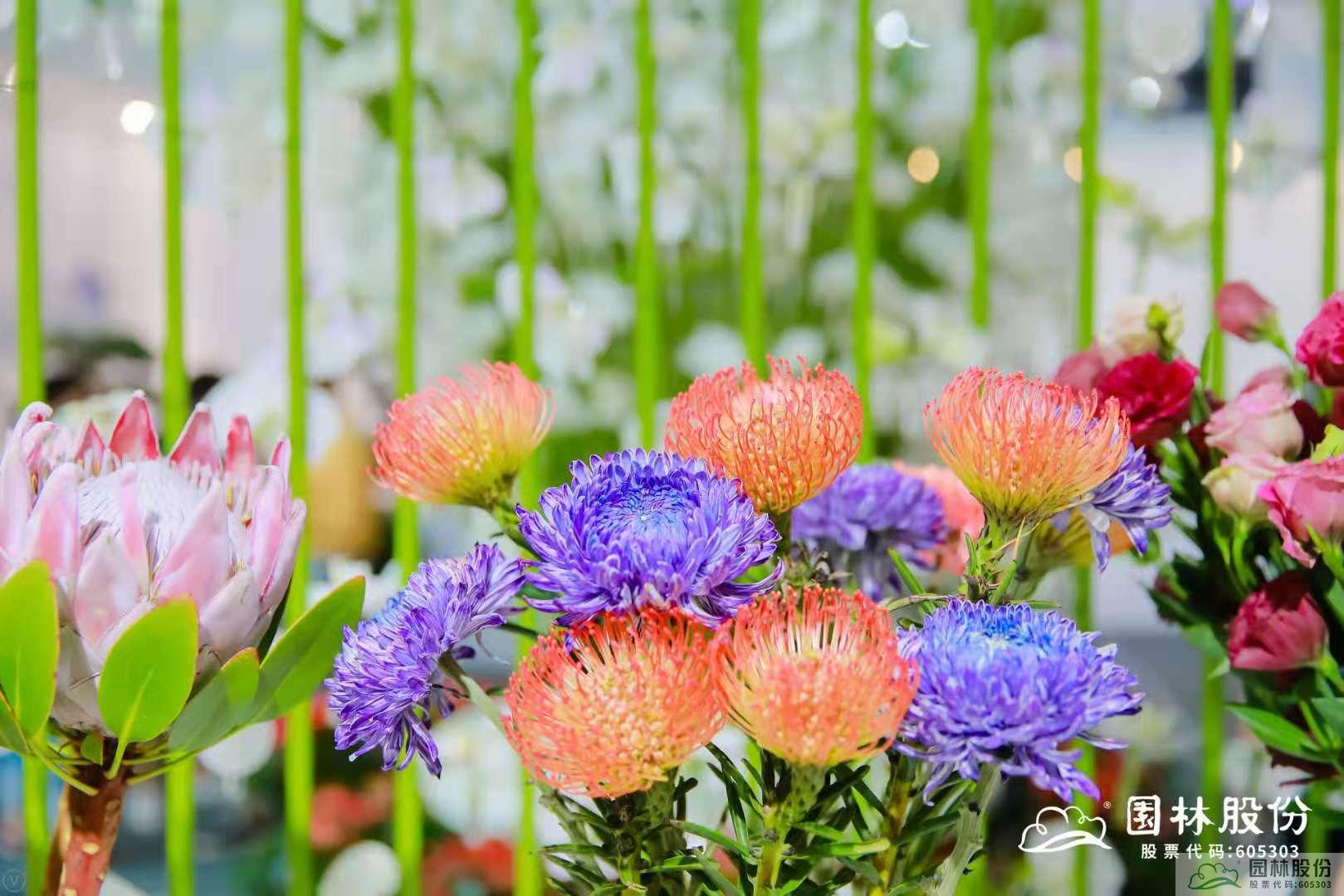 彩运网(中国游)官方网站