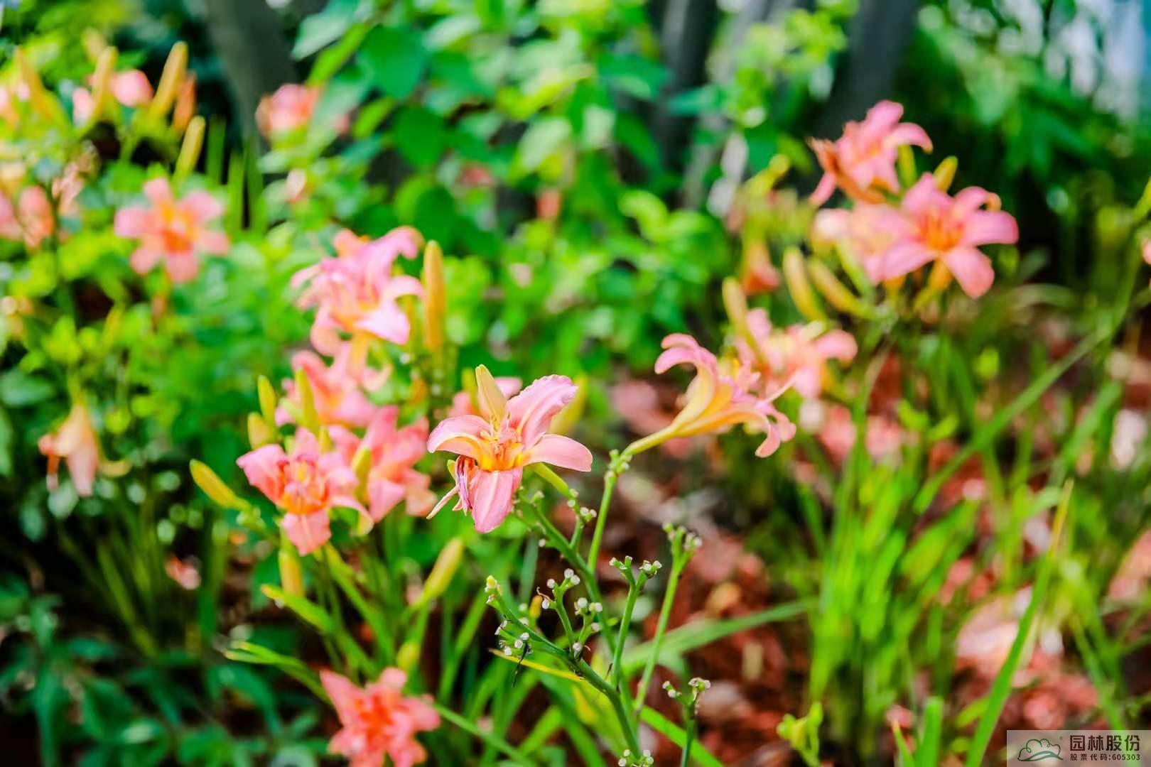 彩运网(中国游)官方网站