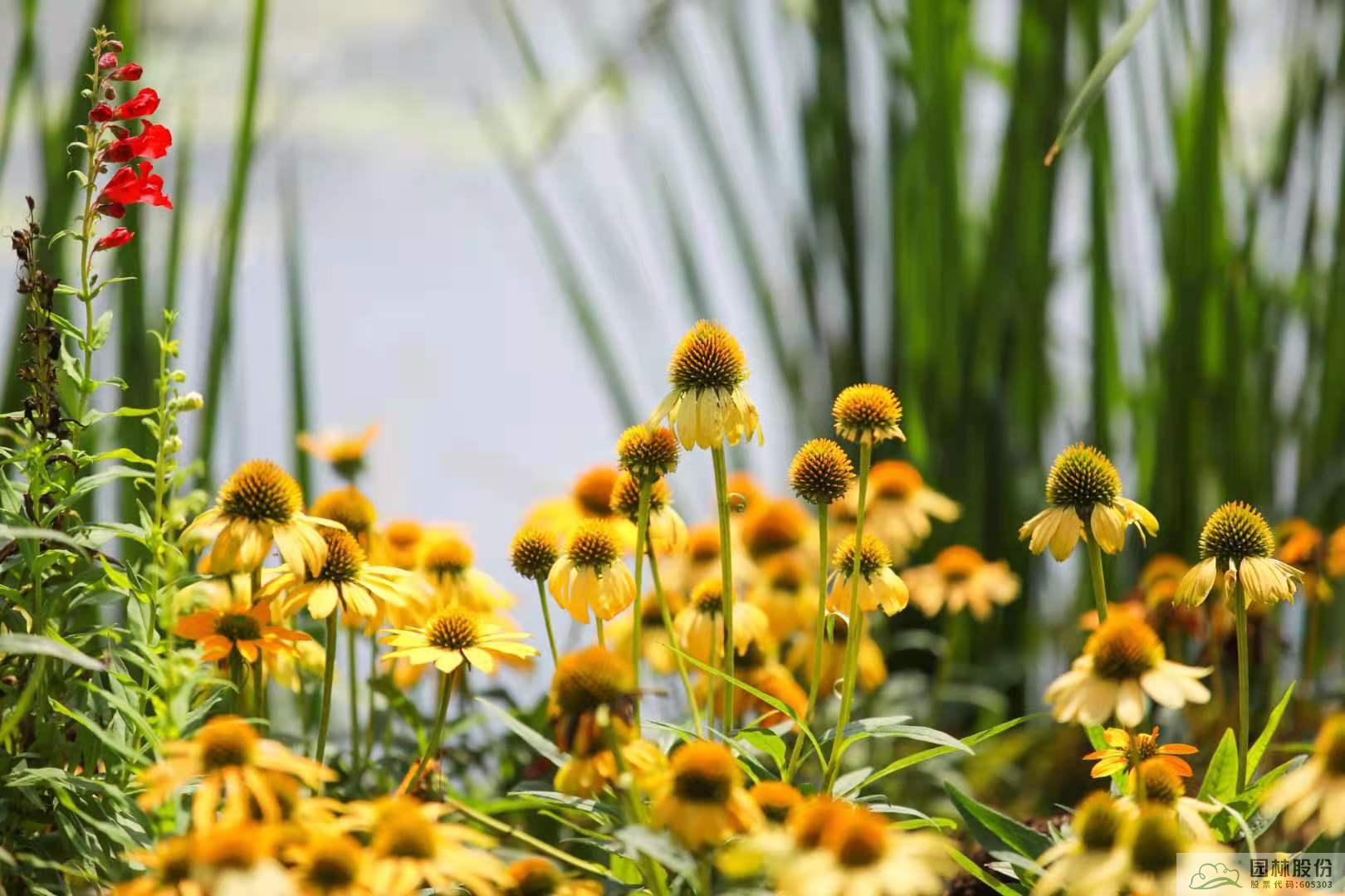 彩运网(中国游)官方网站