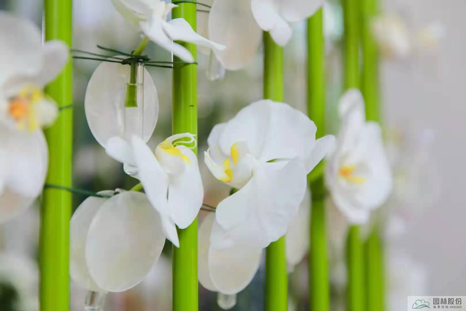 彩运网(中国游)官方网站