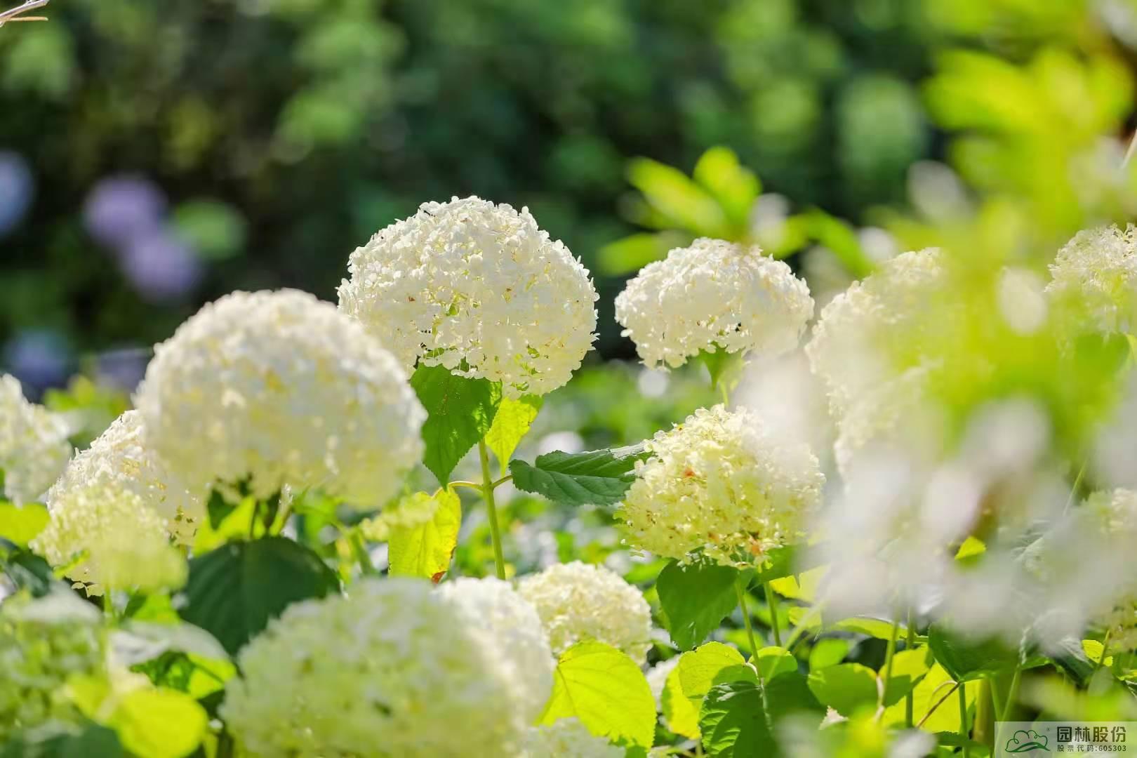 彩运网(中国游)官方网站