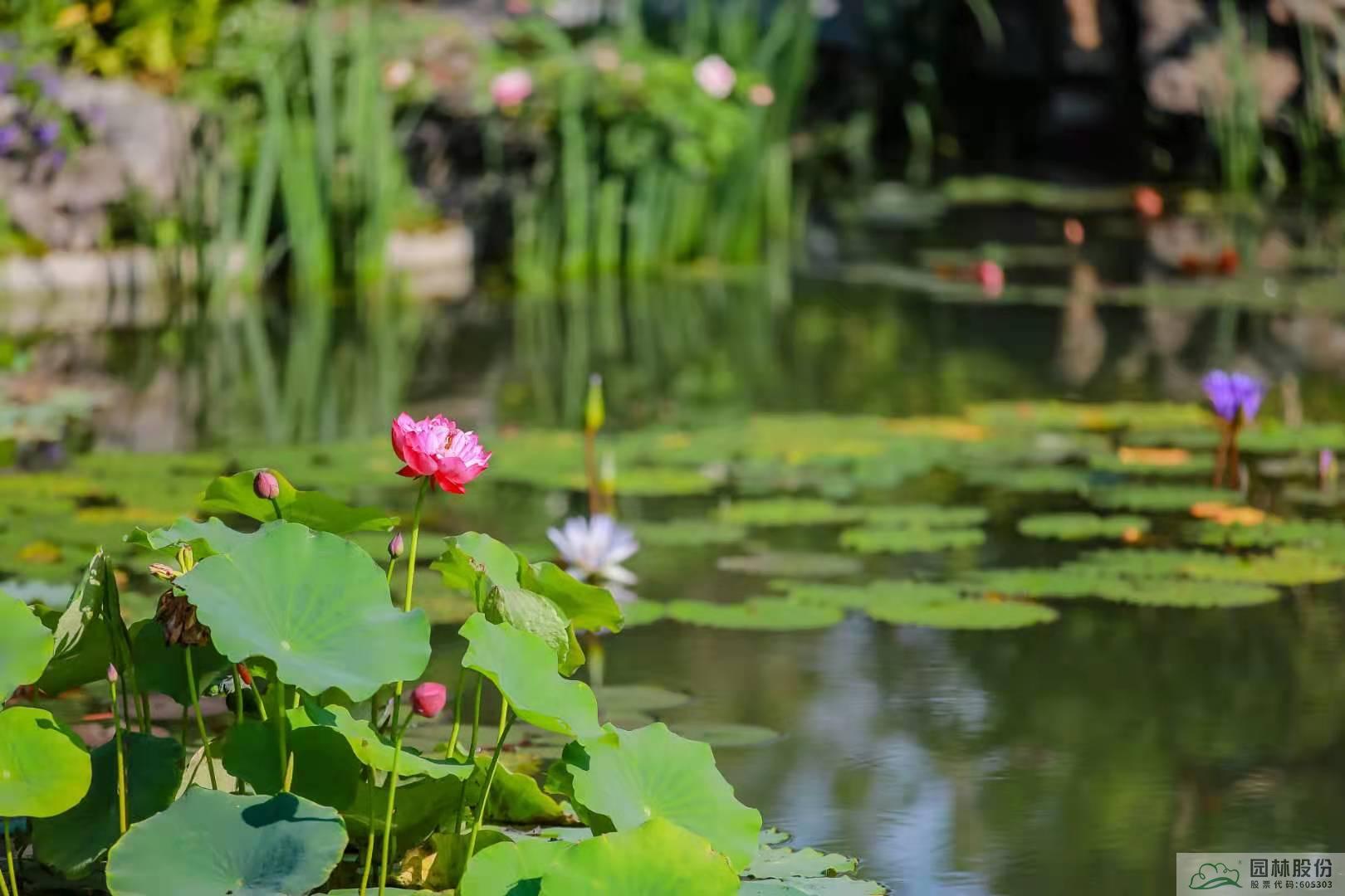彩运网(中国游)官方网站