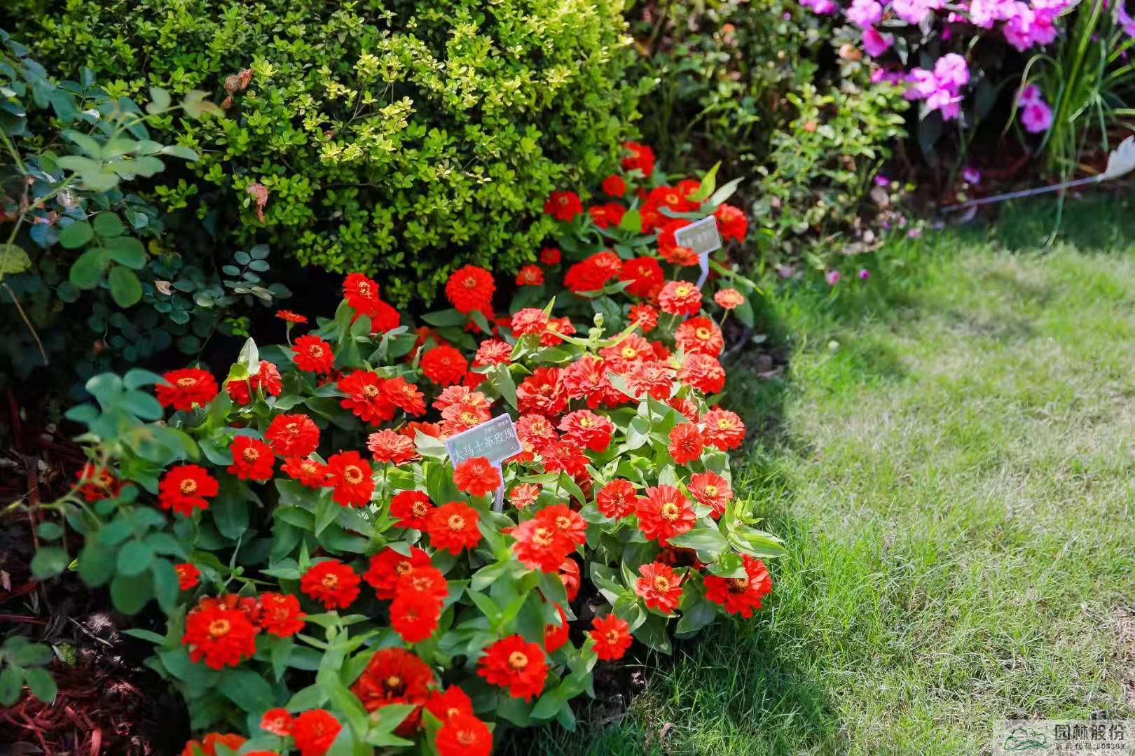 彩运网(中国游)官方网站