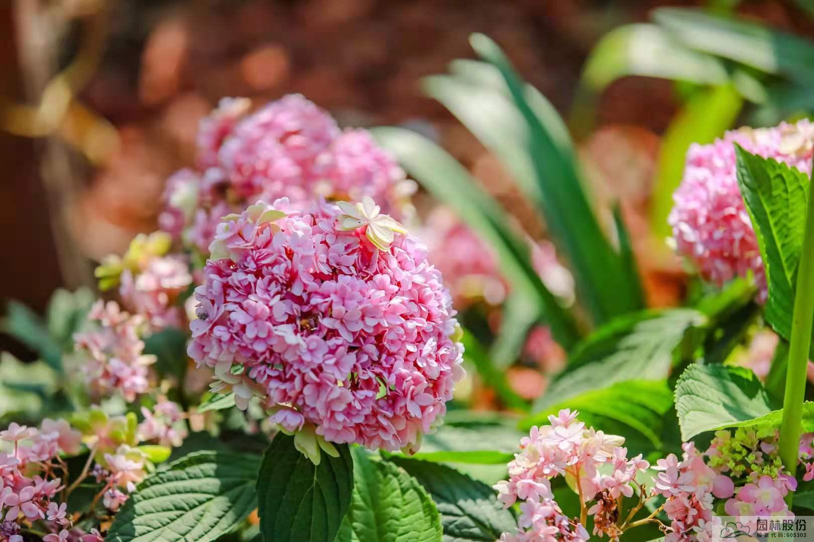 彩运网(中国游)官方网站