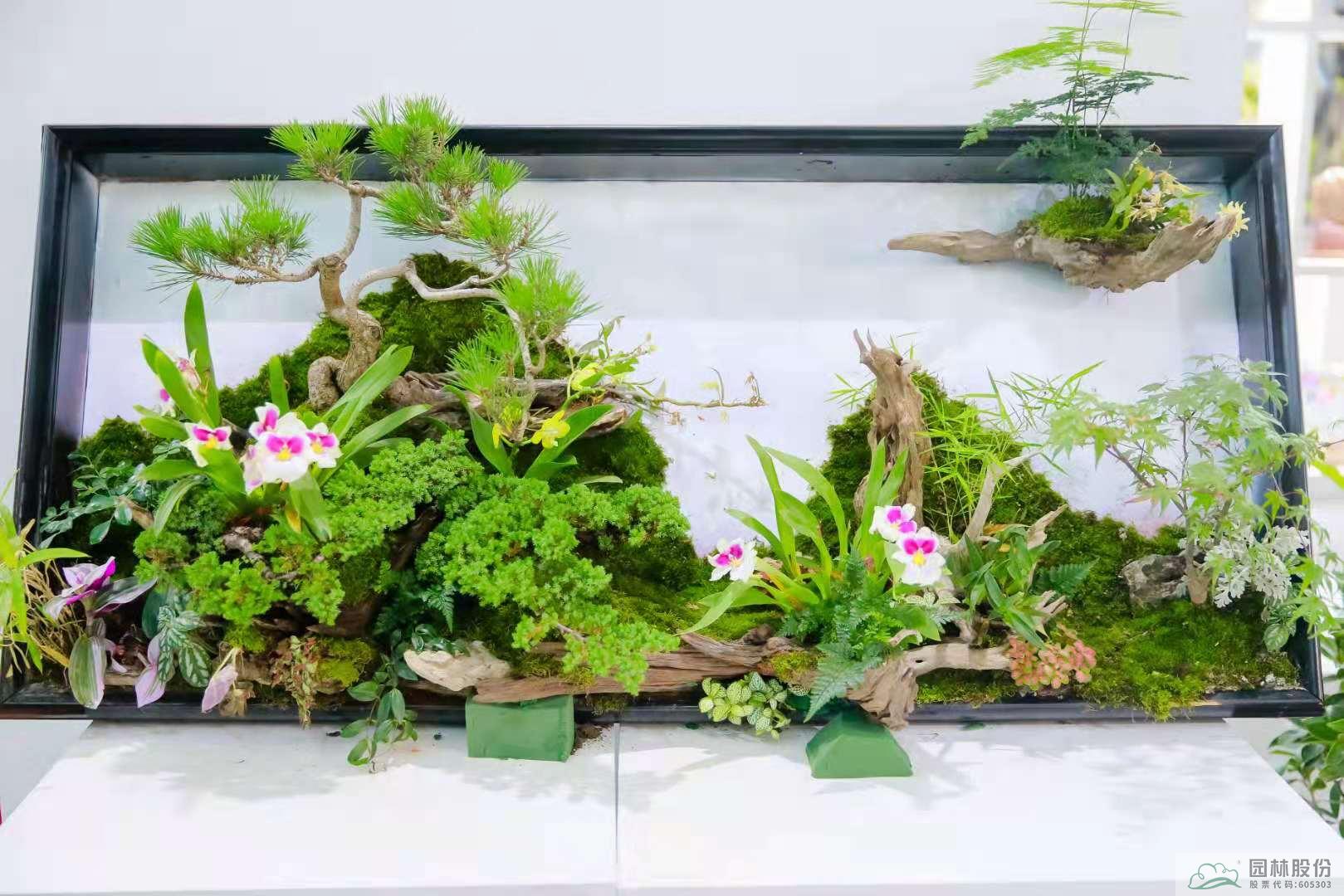 彩运网(中国游)官方网站