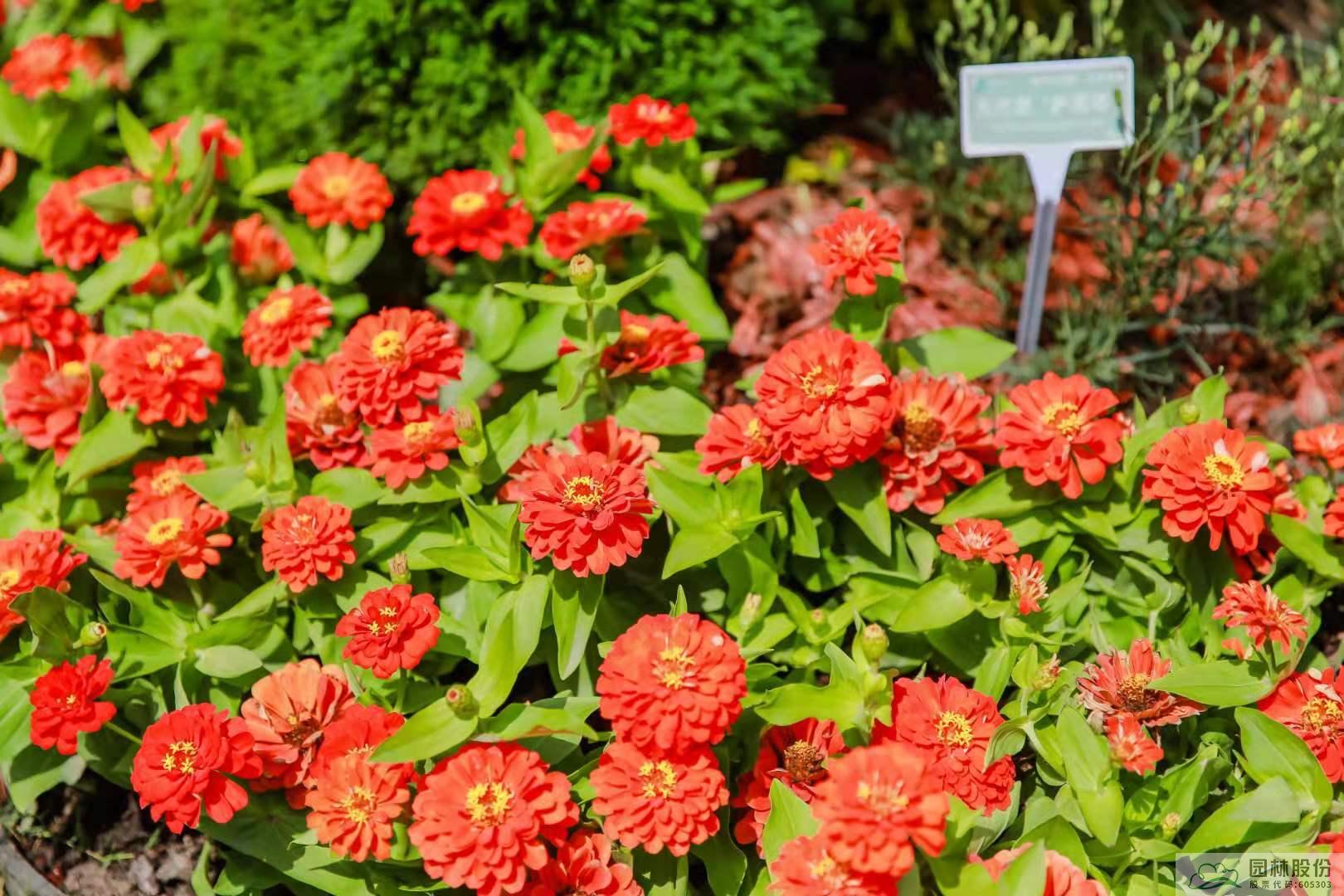 彩运网(中国游)官方网站