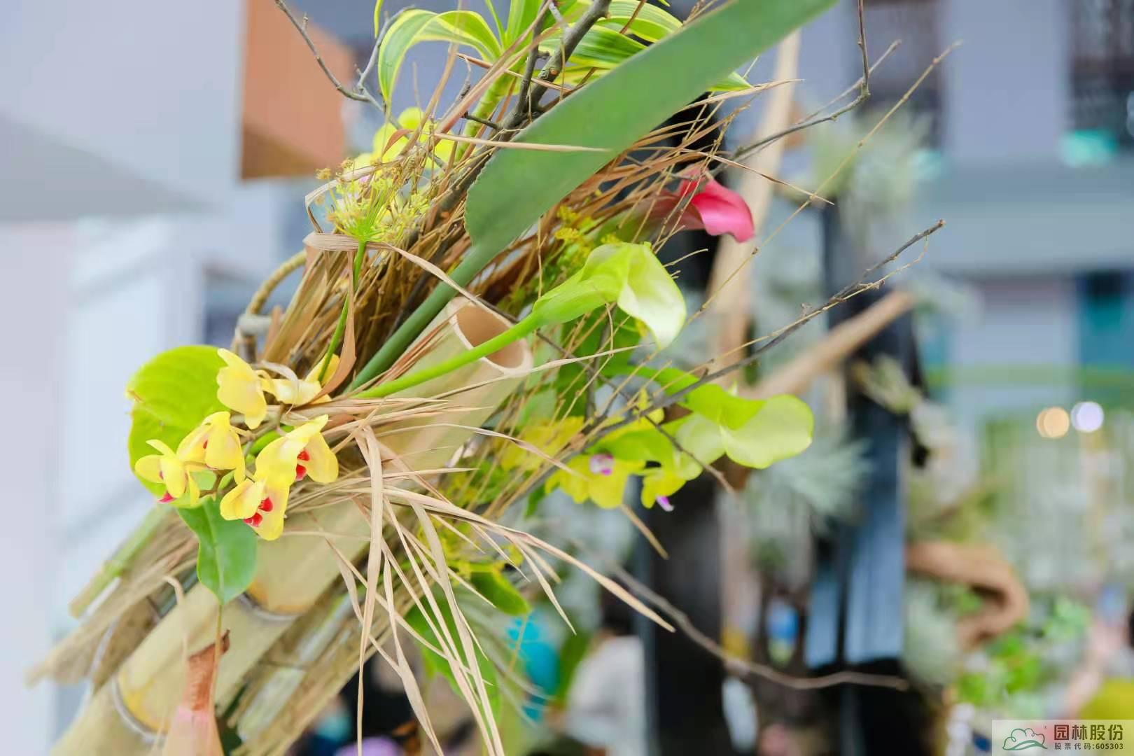 彩运网(中国游)官方网站