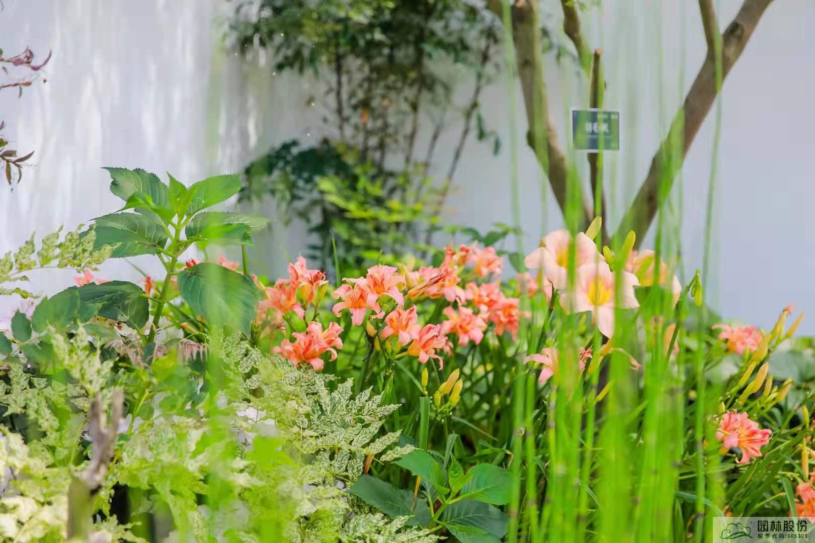 彩运网(中国游)官方网站