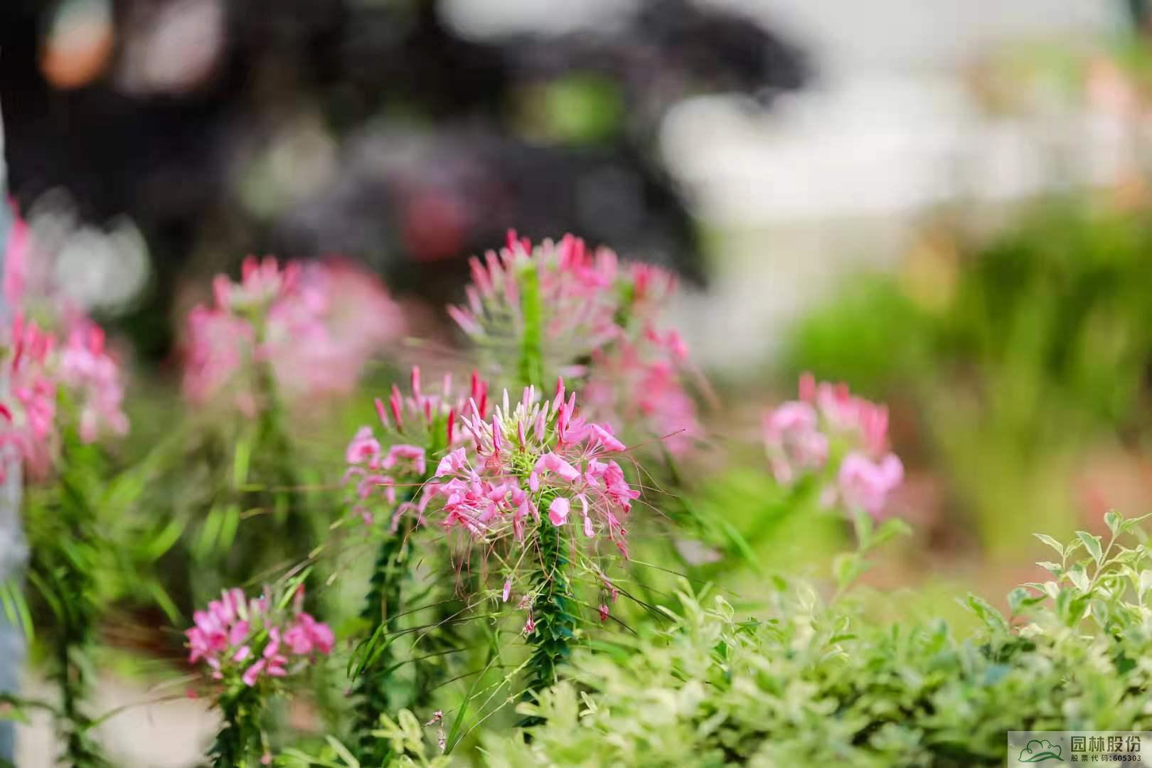 彩运网(中国游)官方网站