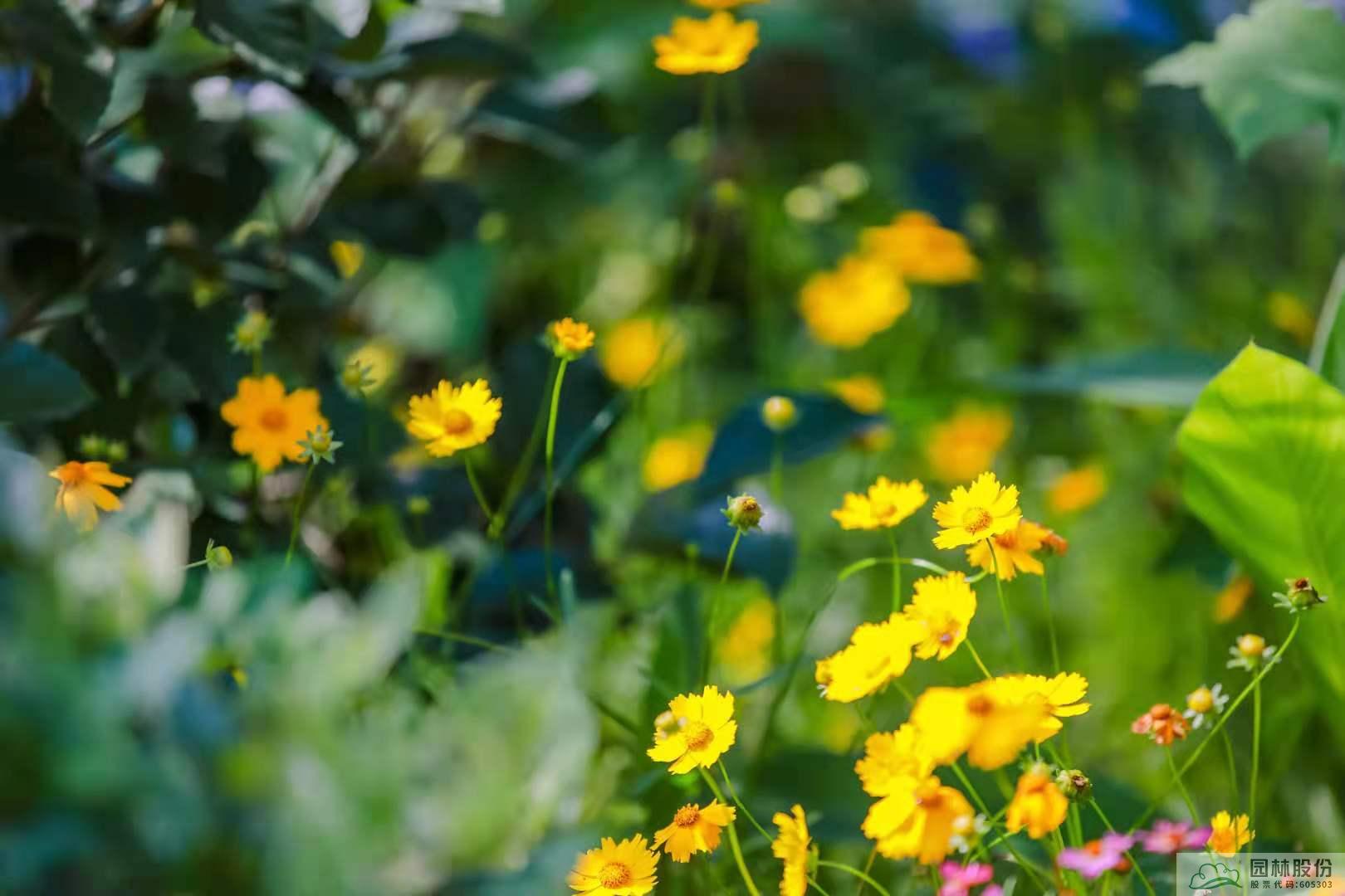 彩运网(中国游)官方网站