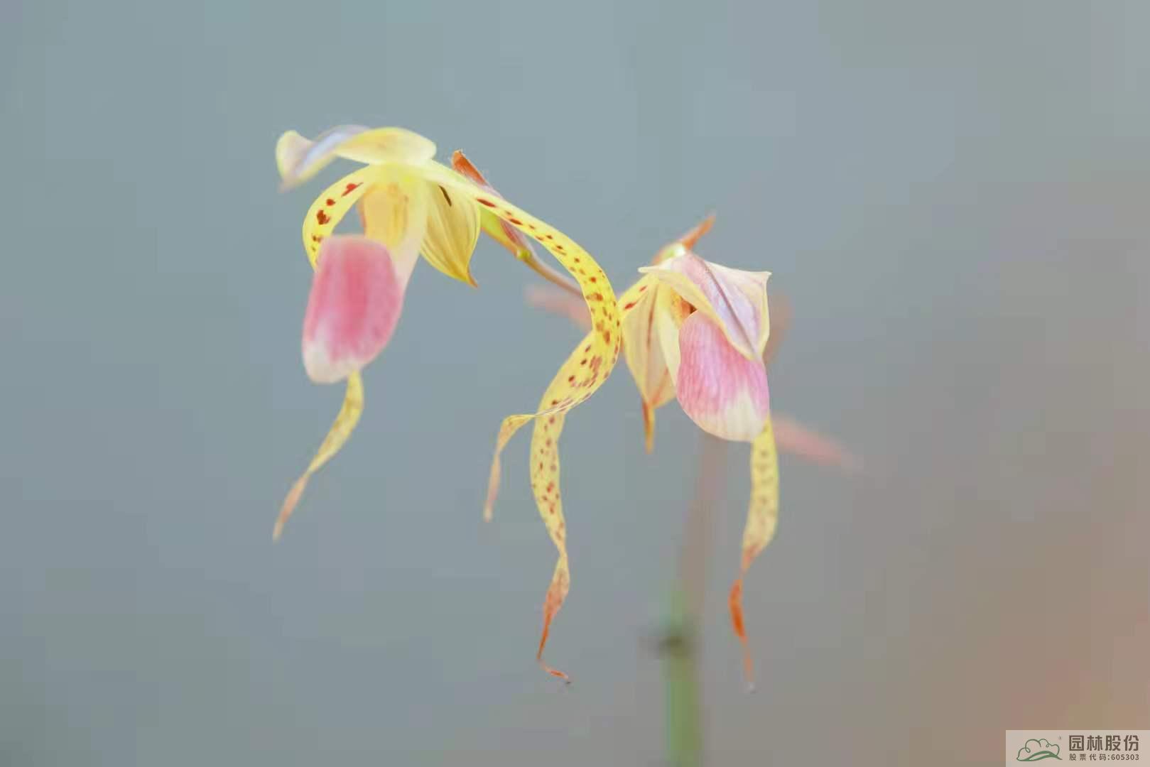 彩运网(中国游)官方网站