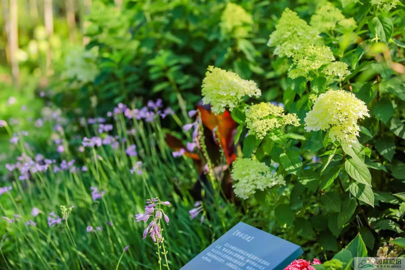 彩运网(中国游)官方网站