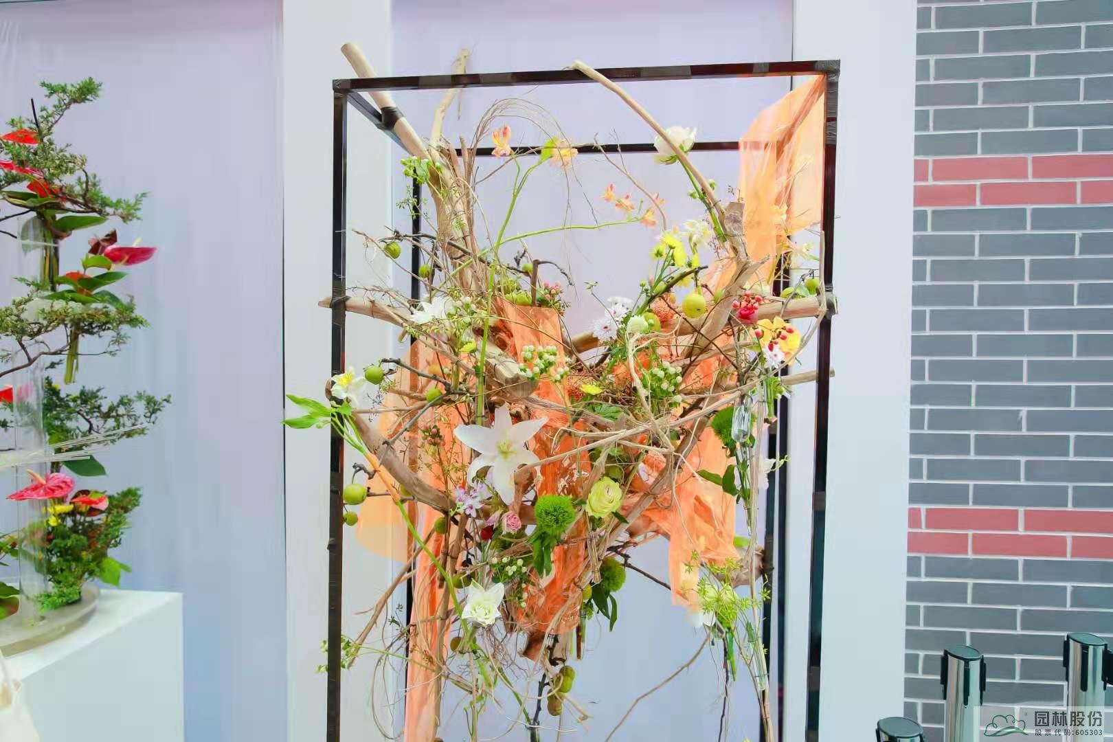 彩运网(中国游)官方网站