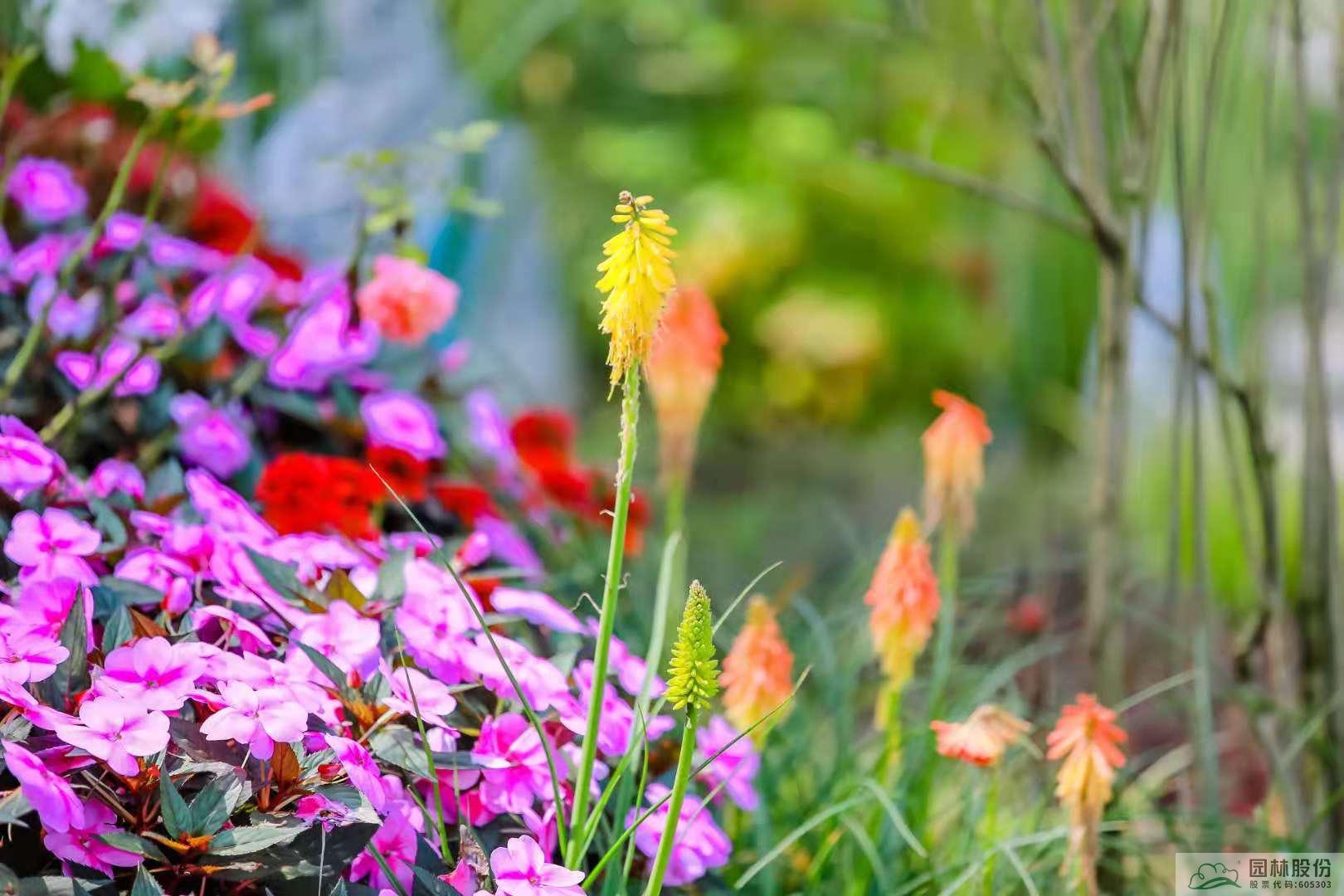 彩运网(中国游)官方网站