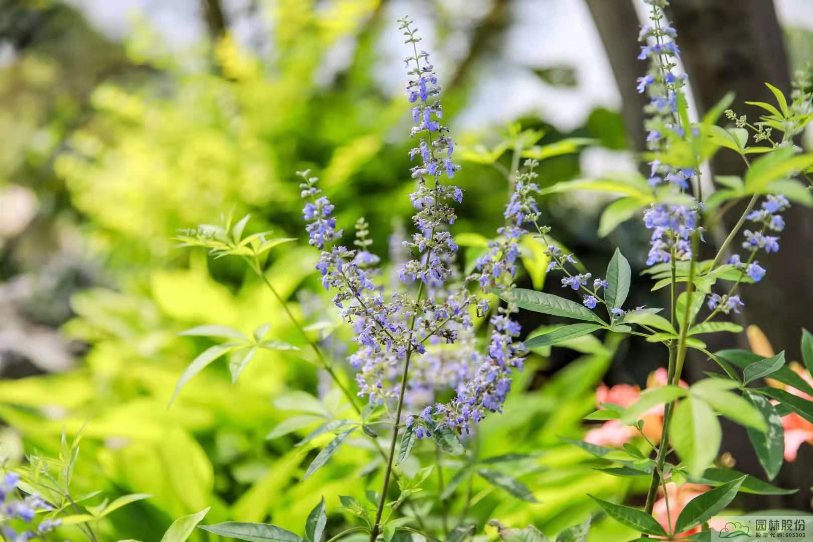 彩运网(中国游)官方网站