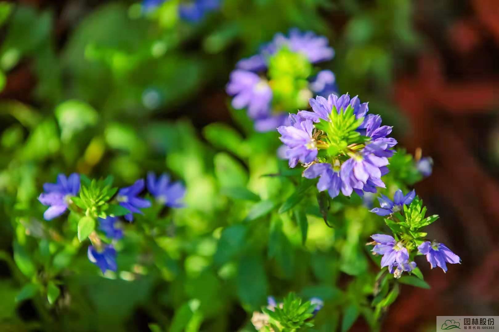 彩运网(中国游)官方网站