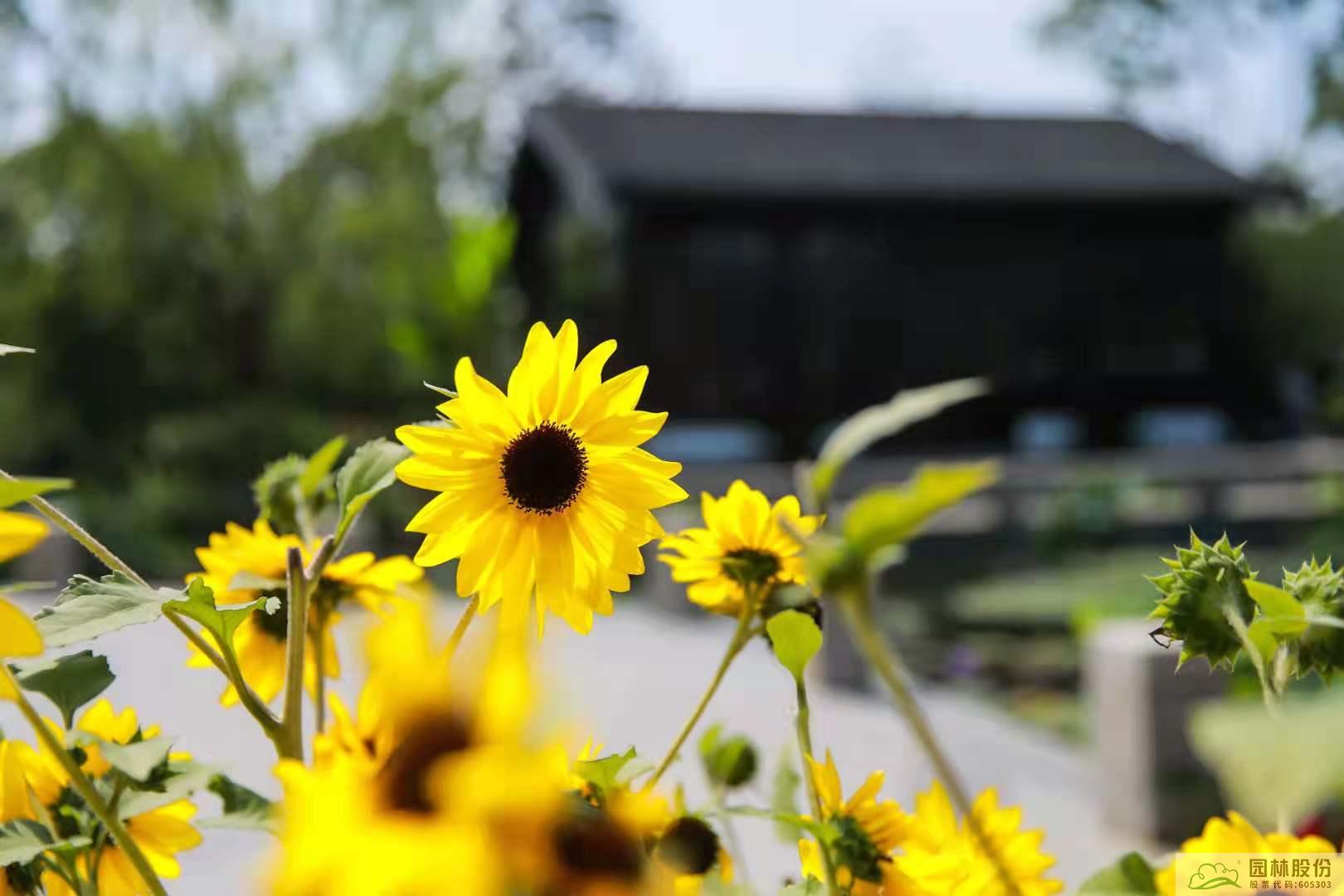 彩运网(中国游)官方网站