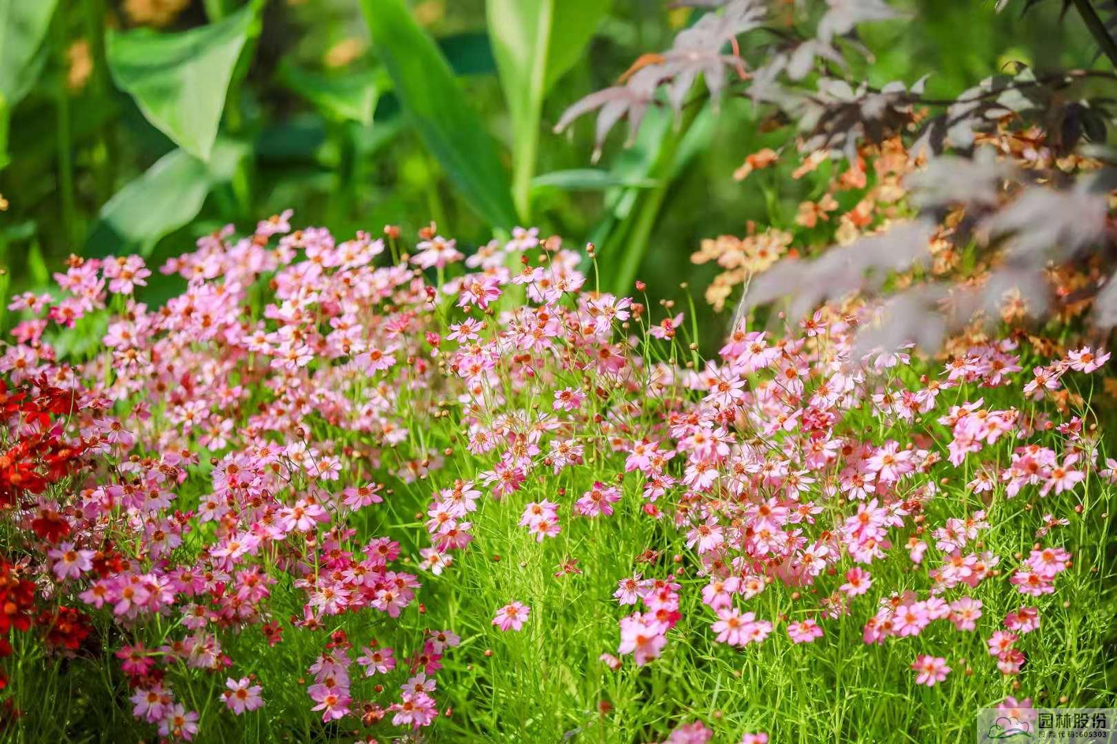 彩运网(中国游)官方网站