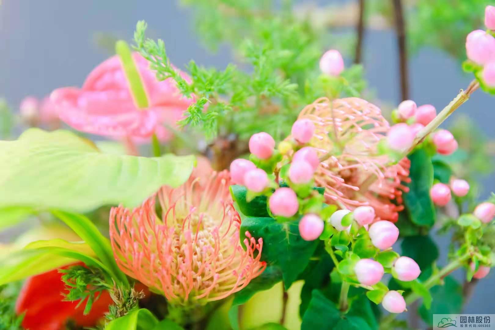 彩运网(中国游)官方网站