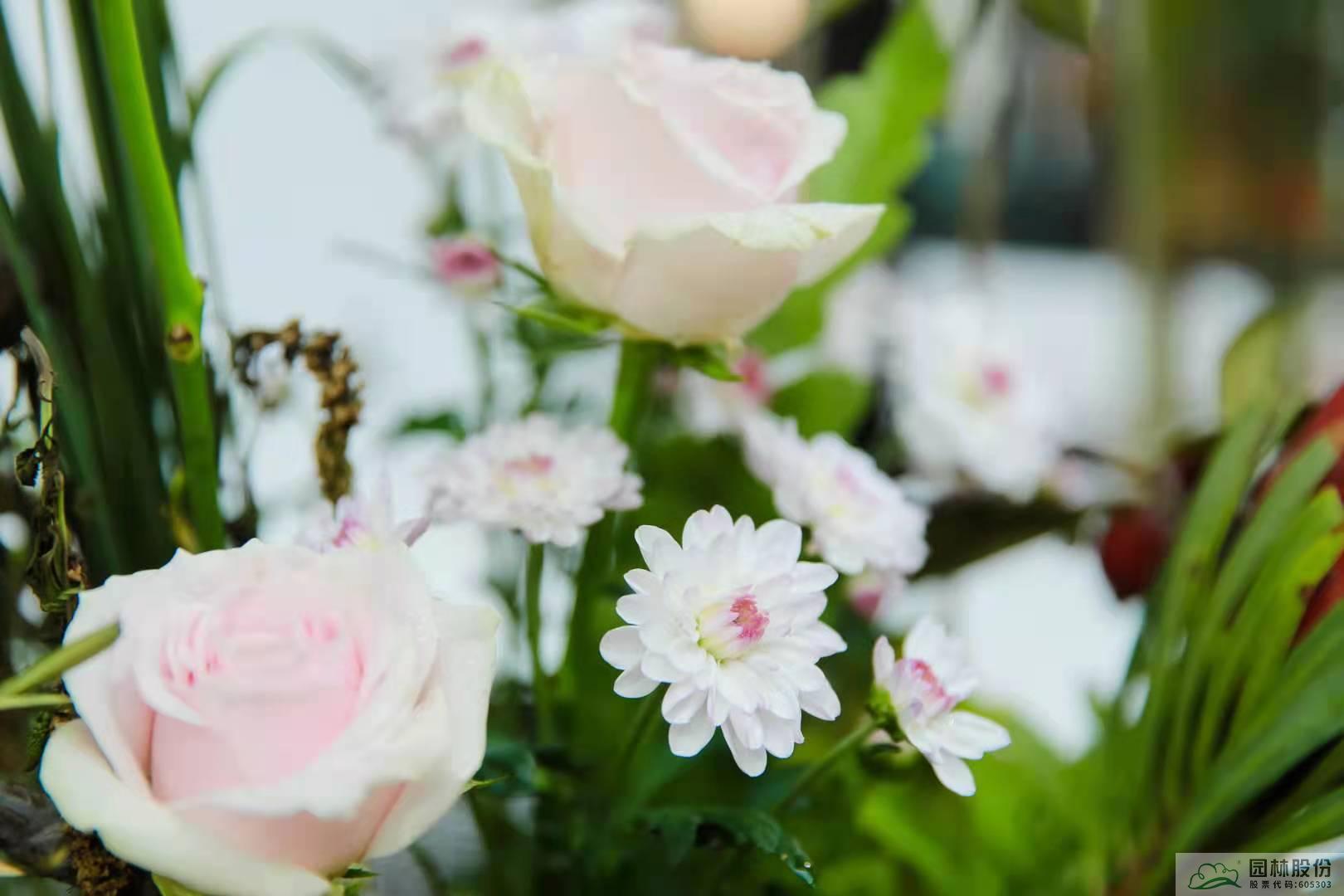 彩运网(中国游)官方网站