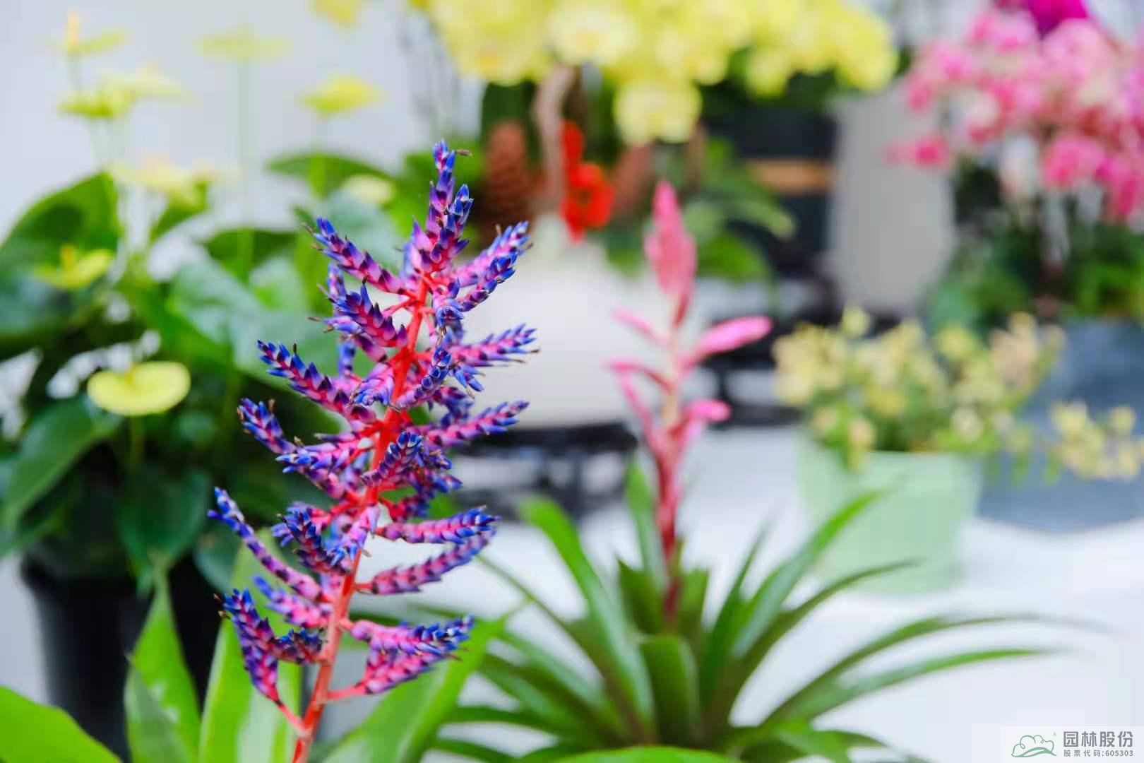 彩运网(中国游)官方网站