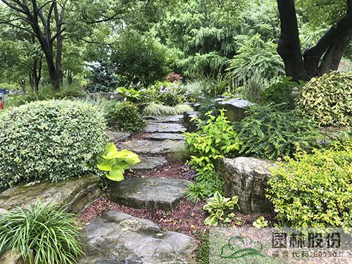 彩运网(中国游)官方网站