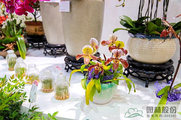 彩运网(中国游)官方网站