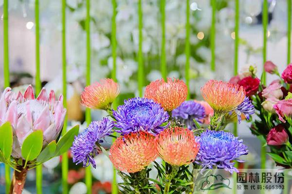 彩运网(中国游)官方网站