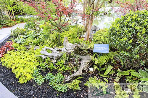 彩运网(中国游)官方网站