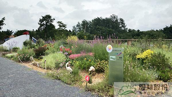 彩运网(中国游)官方网站