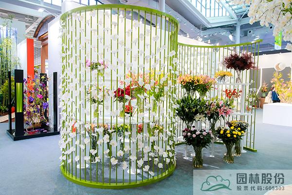 彩运网(中国游)官方网站