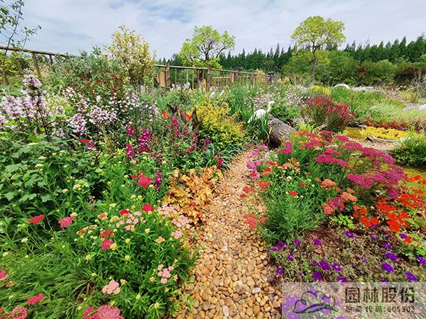 彩运网(中国游)官方网站