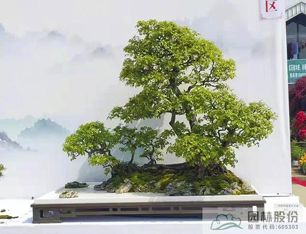 彩运网(中国游)官方网站