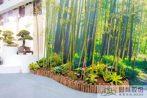 彩运网(中国游)官方网站