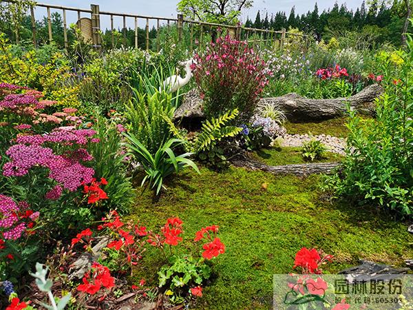 彩运网(中国游)官方网站