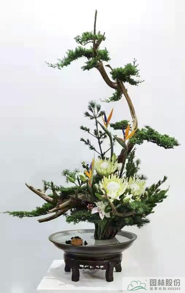 彩运网(中国游)官方网站