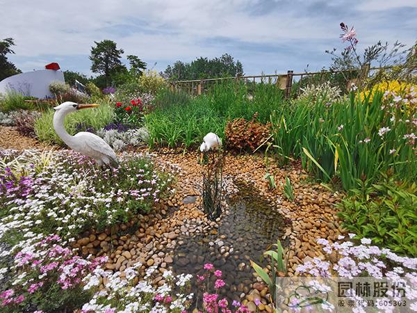 彩运网(中国游)官方网站